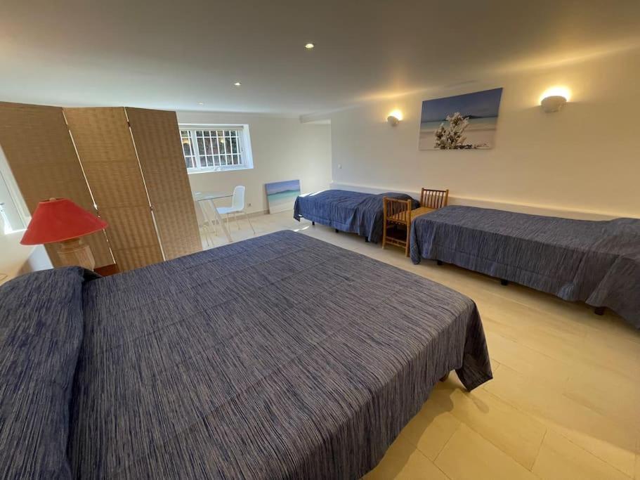 Studio With Private Swimming Pool And Garden Віавіа Zewnętrze zdjęcie