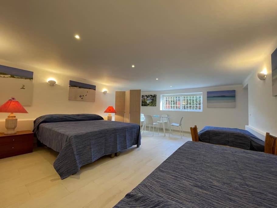 Studio With Private Swimming Pool And Garden Віавіа Zewnętrze zdjęcie