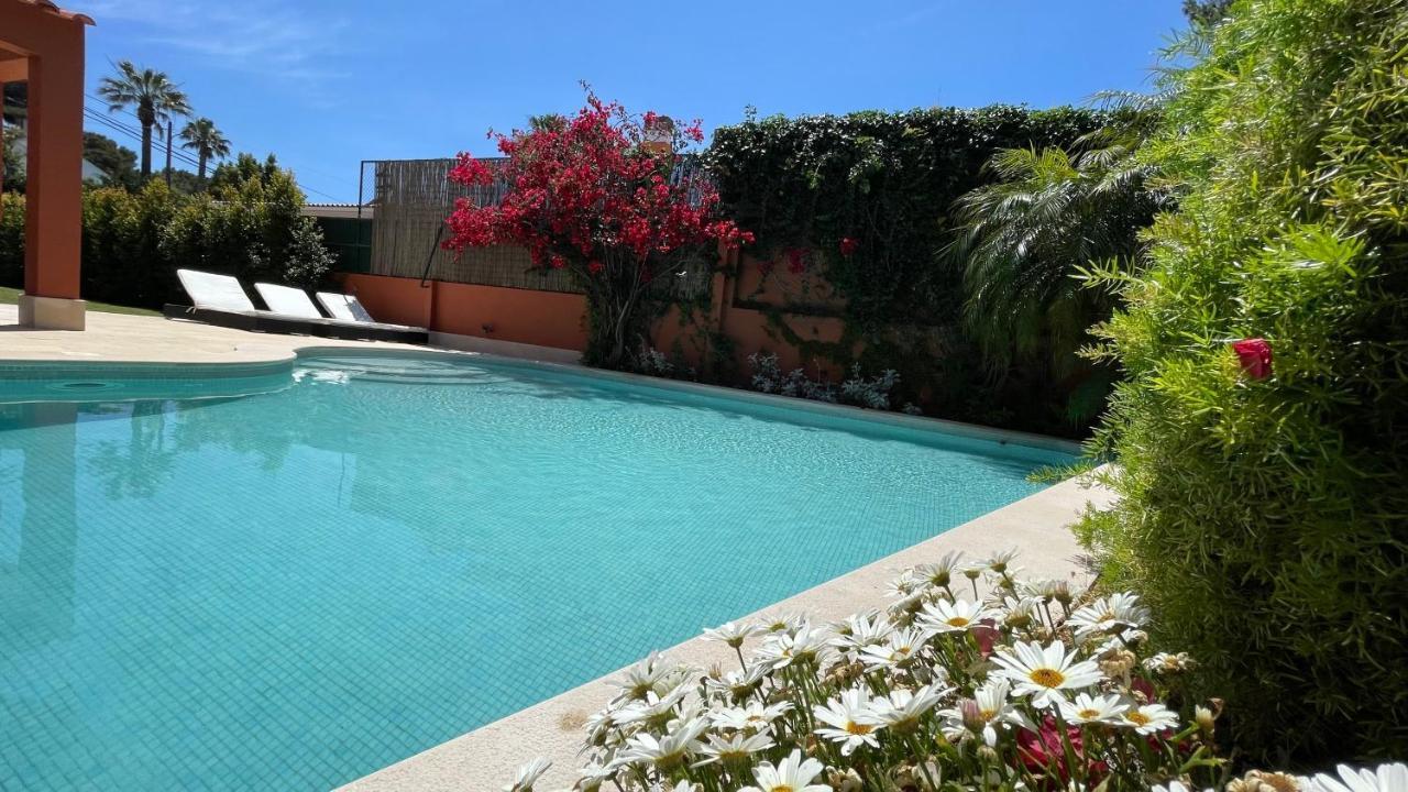 Studio With Private Swimming Pool And Garden Віавіа Zewnętrze zdjęcie