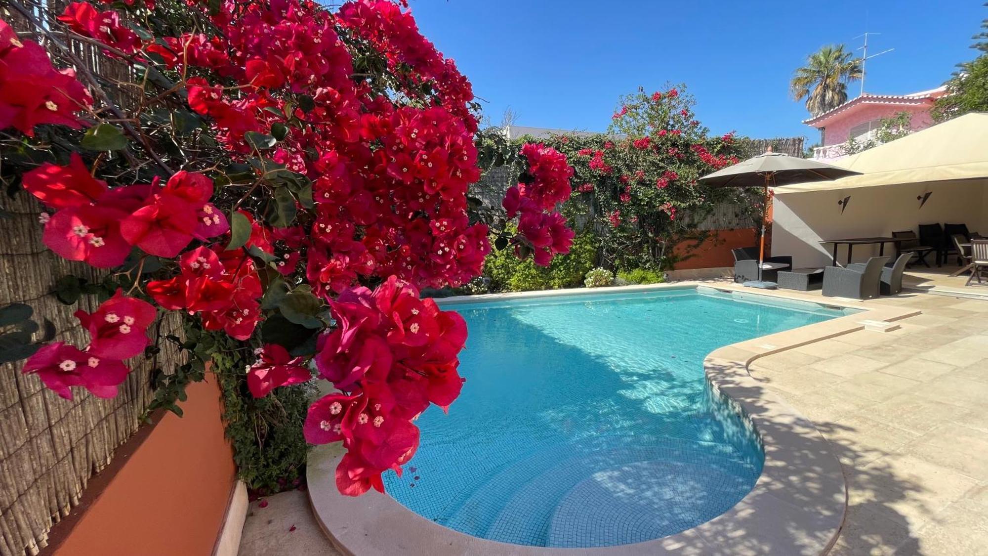 Studio With Private Swimming Pool And Garden Віавіа Zewnętrze zdjęcie