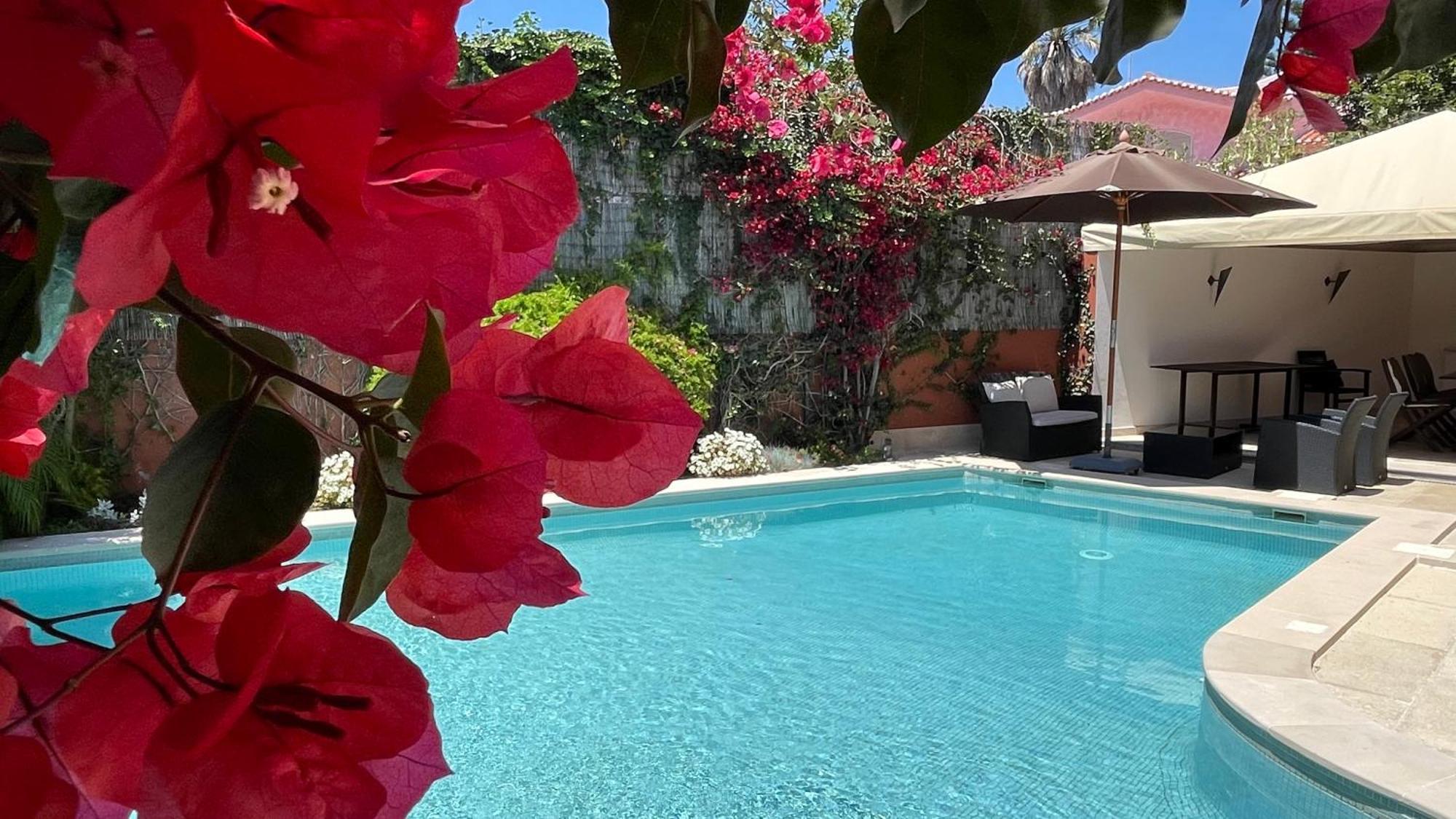 Studio With Private Swimming Pool And Garden Віавіа Zewnętrze zdjęcie